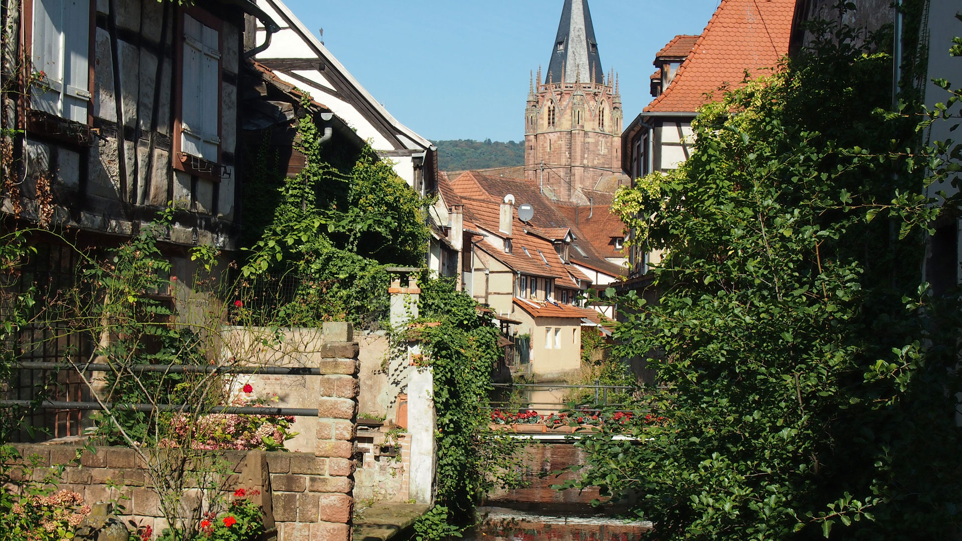 Mein Urlaubszuhause in Wissembourg entdecken