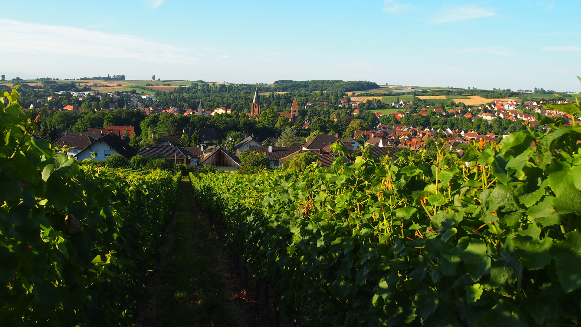 Mein Urlaubszuhause in Wissembourg entdecken